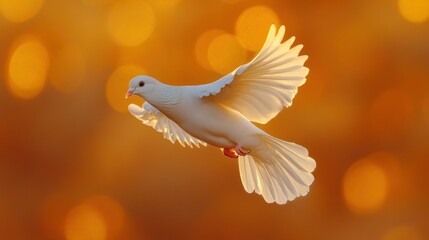 Fototapeta premium A white dove in flight against a warm, glowing background, symbolizing peace and freedom.