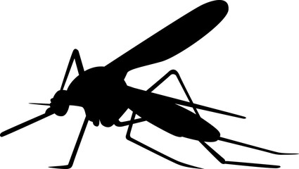Mosquito black siluet