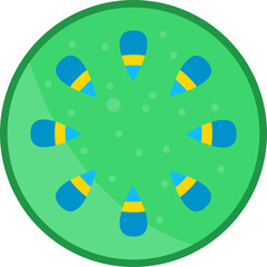 xylem and phloem