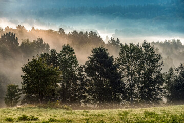 Poranek © Izabela&Grzegorz