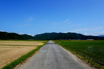 日本の田舎の風景