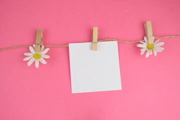 blank paper hanged with flowers on plain background as a memo concept