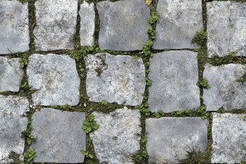 texture of gray pavers, a flat surface with small cracks and moss growing