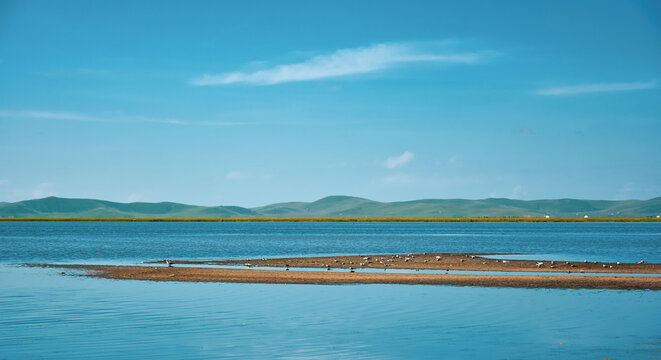 Western China, Zoige Grassland Wetland Scenery
