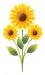 Obraz premium Tournesols avec effet de grain sur fond blanc