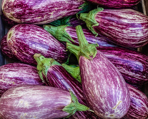 A bunch of purple eggplants with green stems at a farmers market in France