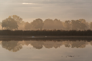 Piękny jesienny wschód słońca nad stawami, Polska, Czechowice Dziedzice  © Elżbieta Kaps