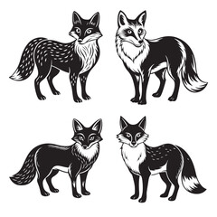 Fototapeta premium fox