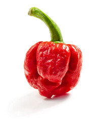 Red Carolina Reaper pepper. Is a variety of chili pepper have a heat rating of 1,150,000 -...
