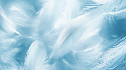 Naklejka premium Background with ethereal feathers in blue and white, styled with gentle weightlessness