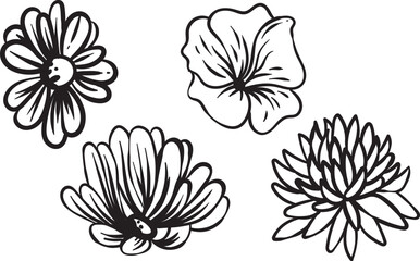 Flowers line art and black