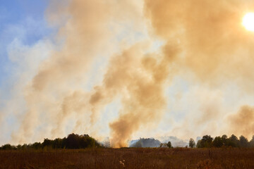 Meadow filled with smoke fire burning across dry stubble and grassland flames creating an...