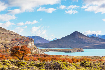 Naklejka premium Autumn in Perito Moreno