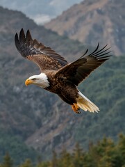 A stunning eagle in flight.