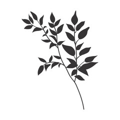 Tropical leaf silhouette. Jungle exotic leaves and botanical plants. Vector illustration.