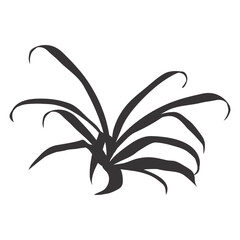 Tropical leaf silhouette. Jungle exotic leaves and botanical plants. Vector illustration.