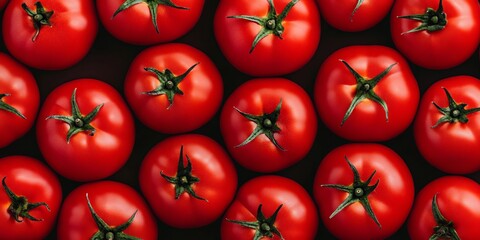 Delightful Fresh Red Tomatoes Displayed Beautifully and Elegantly on a Dark Surface Below