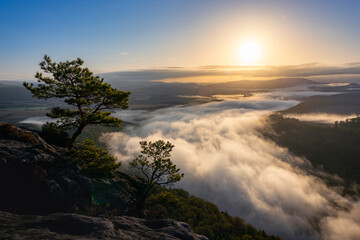 Nebelschwaden über der Elbe in der Säschsischen Schweiz bei Sonnenaufgang