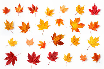 Obraz premium Autumn leaves Flying in the air for design Background 