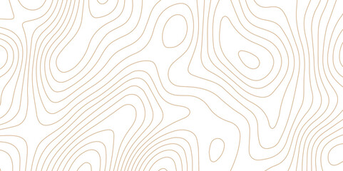 Abstract wave paper curved reliefs background .gradient multicolor wave curve lines banner background design .topographic contours map background .Vector geographic contour map.	
