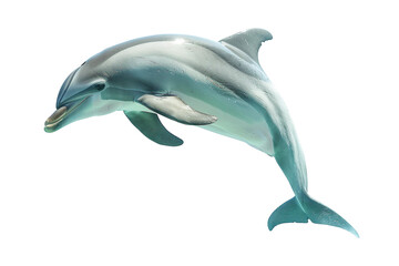Obraz premium Realistic depiction of a dolphin swimming with a splash effect isolated on transparent background