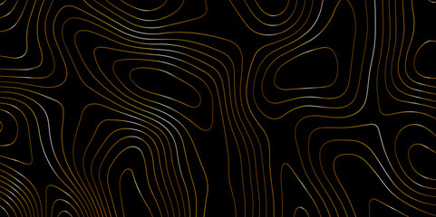 Abstract wave paper curved reliefs background .gradient multicolor wave curve lines banner background design .topographic contours map background .Vector geographic contour map.	