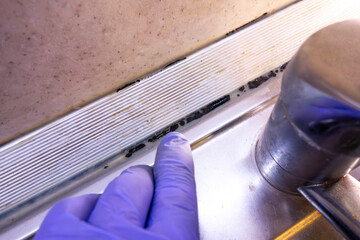 Black mold in the kitchen.Mold control in the bathroom.Surface treatment from bacteria.