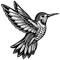 illustration of a bird