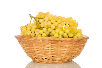 One bunch of ripe white grapes in a straw bowl, macro, isolated on white background.