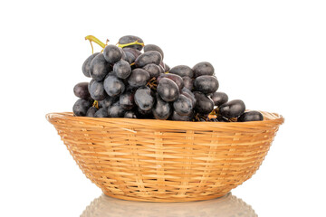 One bunch of ripe black grapes in a straw bowl, macro, isolated on white background.