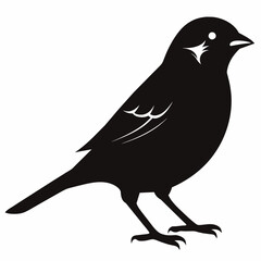 bird on a branch