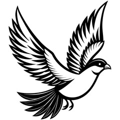 dove of peace vector