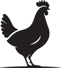 rooster isolated on a white background