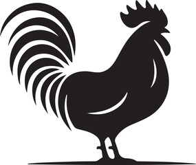 rooster isolated on white background