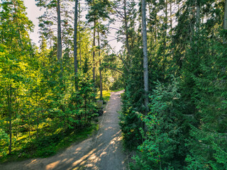 Naklejka premium Sandy road in northern coniferous forest - aerial view from drone