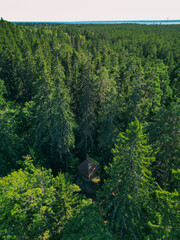Lonely church in the green forest, Konevets island - photo drone view