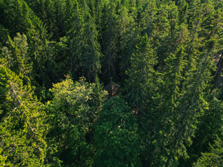 Lonely church in the green forest, Konevets island - photo drone view