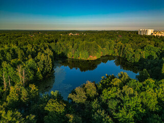  beautiful lake in green park, near city houses - drone photo