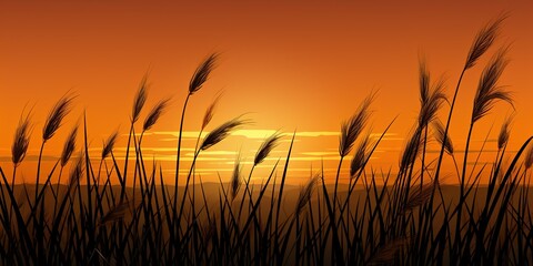 Fototapeta premium sunset in the grass