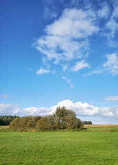 Rural landscape on a sunny day, Poland.
