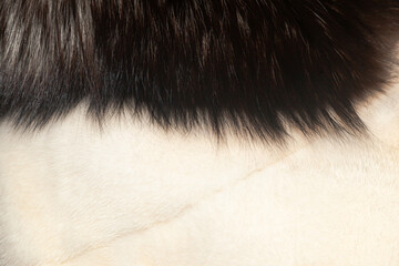 Background of winter fur coats, close-up.