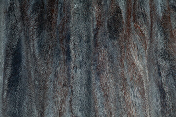 Background of winter fur coats, close-up.
