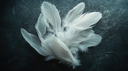 Naklejka premium Cluster of white feathers softly arranged on a dark surface, showcasing their delicate and airy qualities