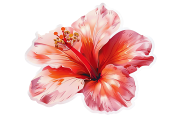 Cute flower-shaped sticker for crafts and decor isolated on transparent background