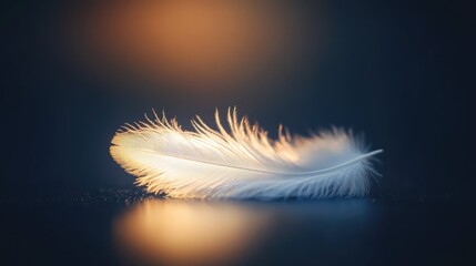 Obraz premium Delicate white feather placed on a smooth, polished surface, illuminated by gentle natural light
