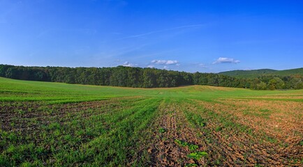HDR panorama of landscape. czech republic - europe. Beautiful image of nature. Meadow and field with forest. Concept for environment, agriculture and ecology.
