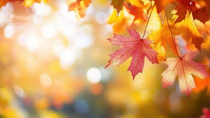 Vibrant Autumn Leaves with Soft Bokeh Background