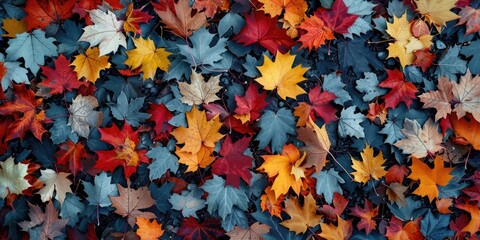 A collection of fallen leaves scattered across the ground, awaiting decomposition