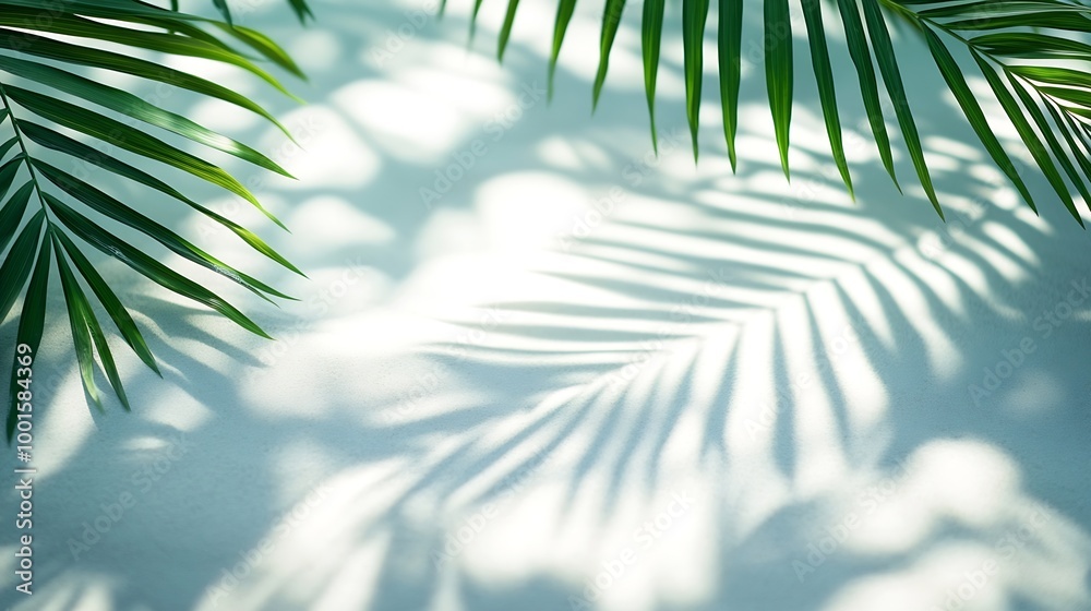 Aufkleber palm leaf shadow on abstract white sand beach background sun lights on water surface beautiful abstr