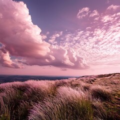 Fototapeta premium Pink sky with beautiful natural white clouds
